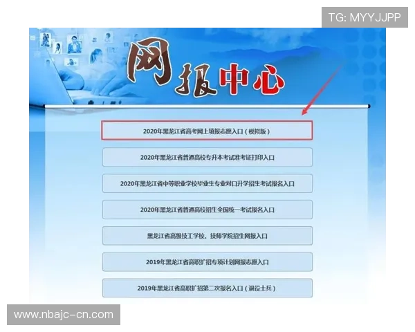 竞技宝登录入口的验证流程及其重要性分析 竞技宝登录入口的验证流程及其重要性分析