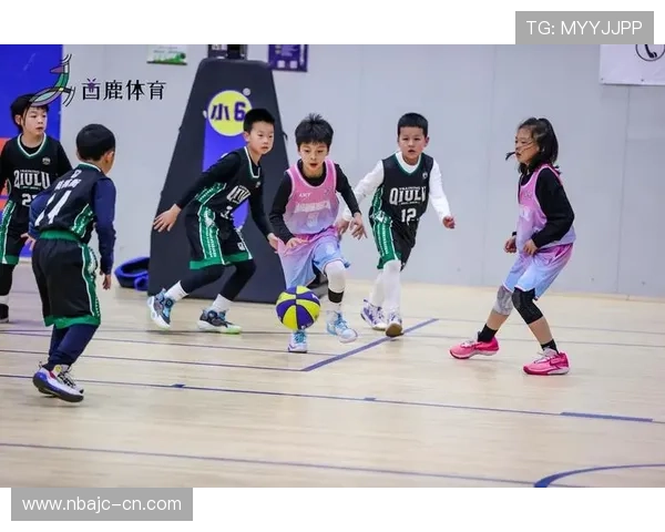 K8体育APP与其他体育直播平台的比较分析，选择最适合您的体育应用